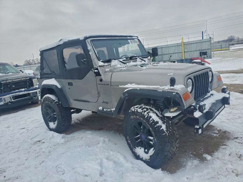 2001 Jeep Wrangler / tj se