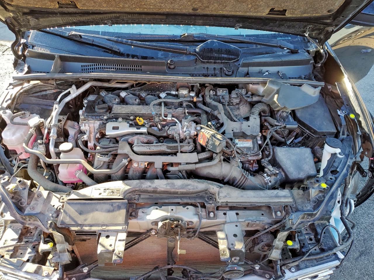 2023 Toyota Prius le