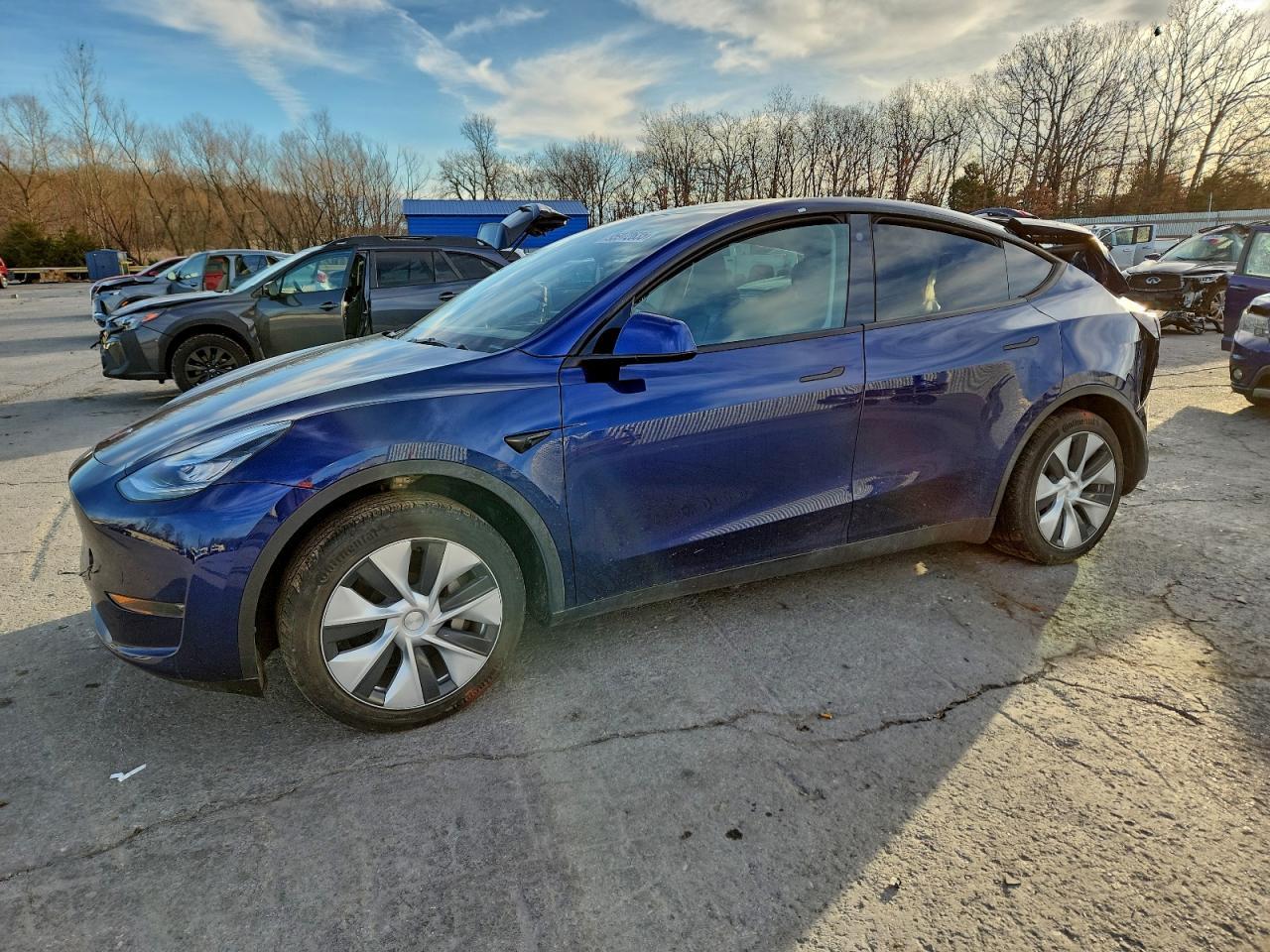 2023 Tesla Model y