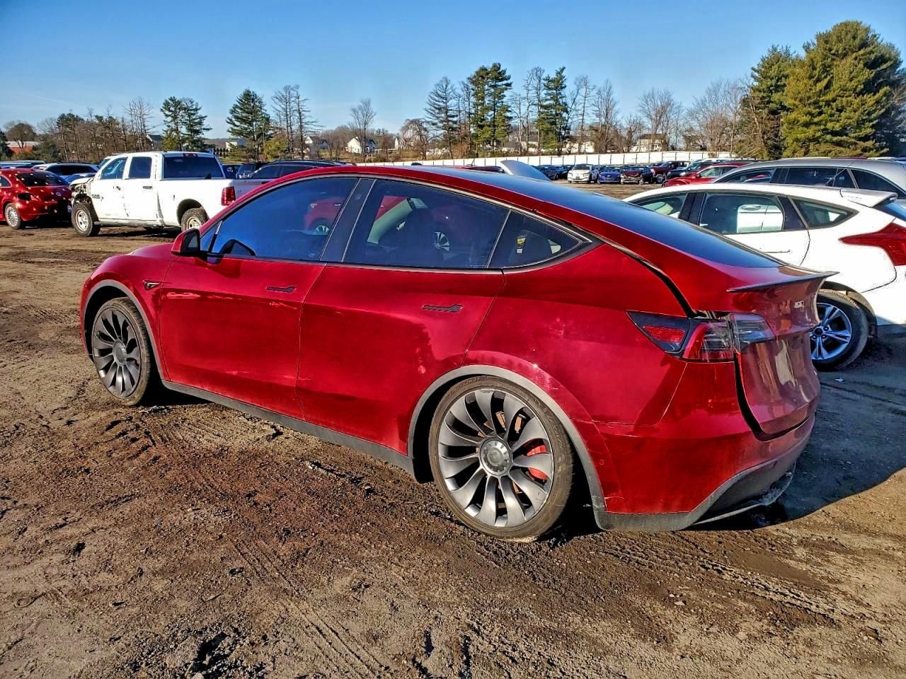 2021 Tesla Model y