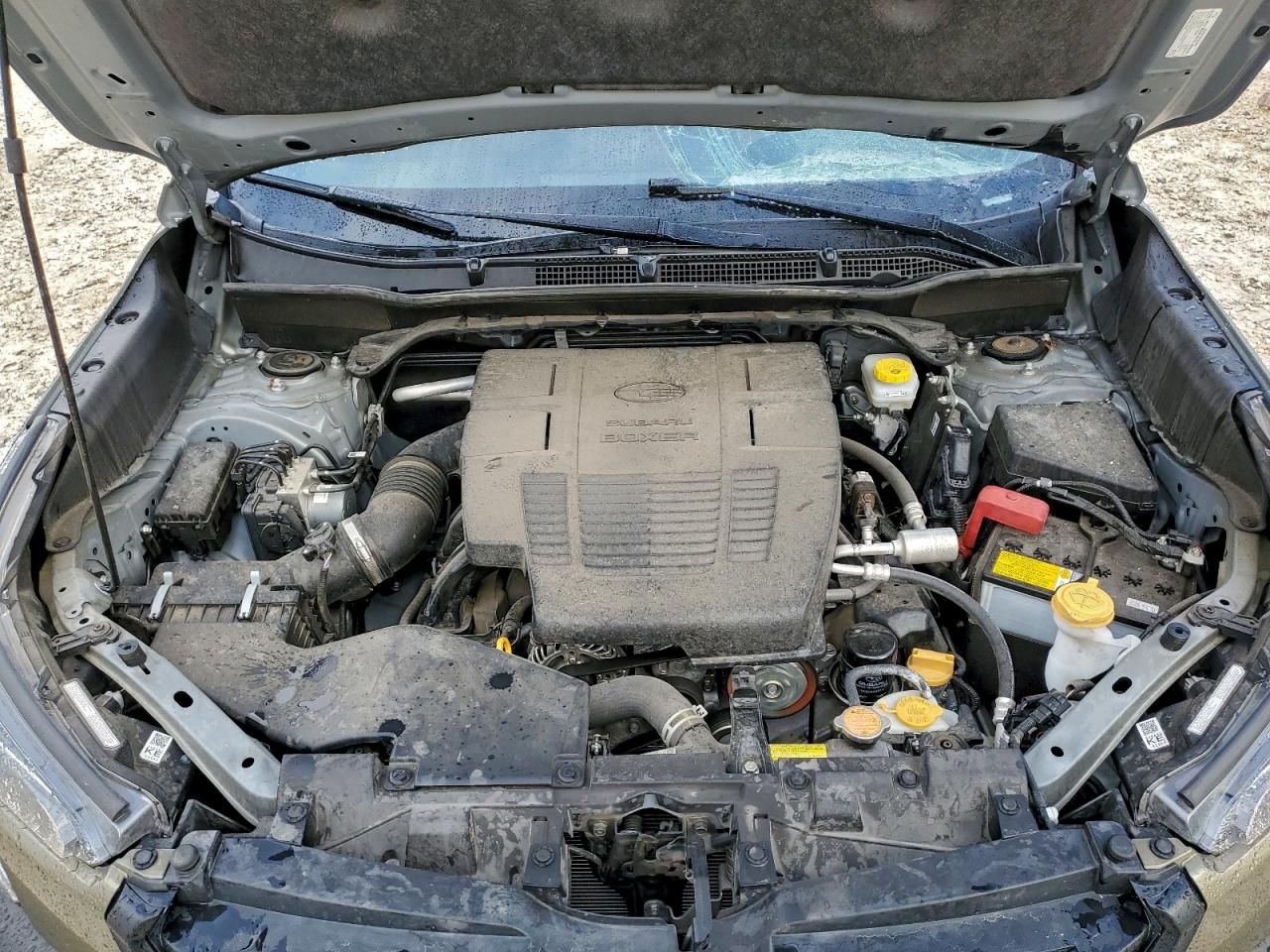 2024 Subaru Forester Wilderness