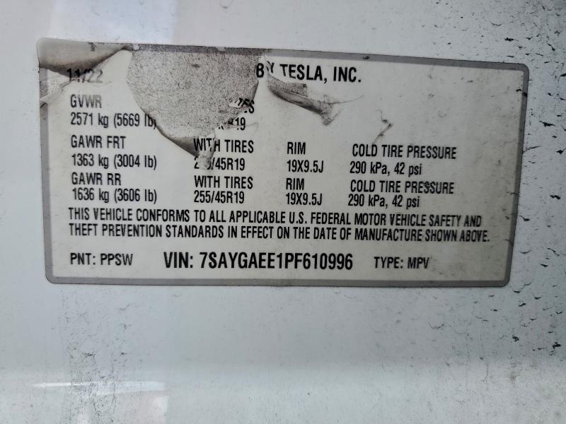 2023 Tesla Model y