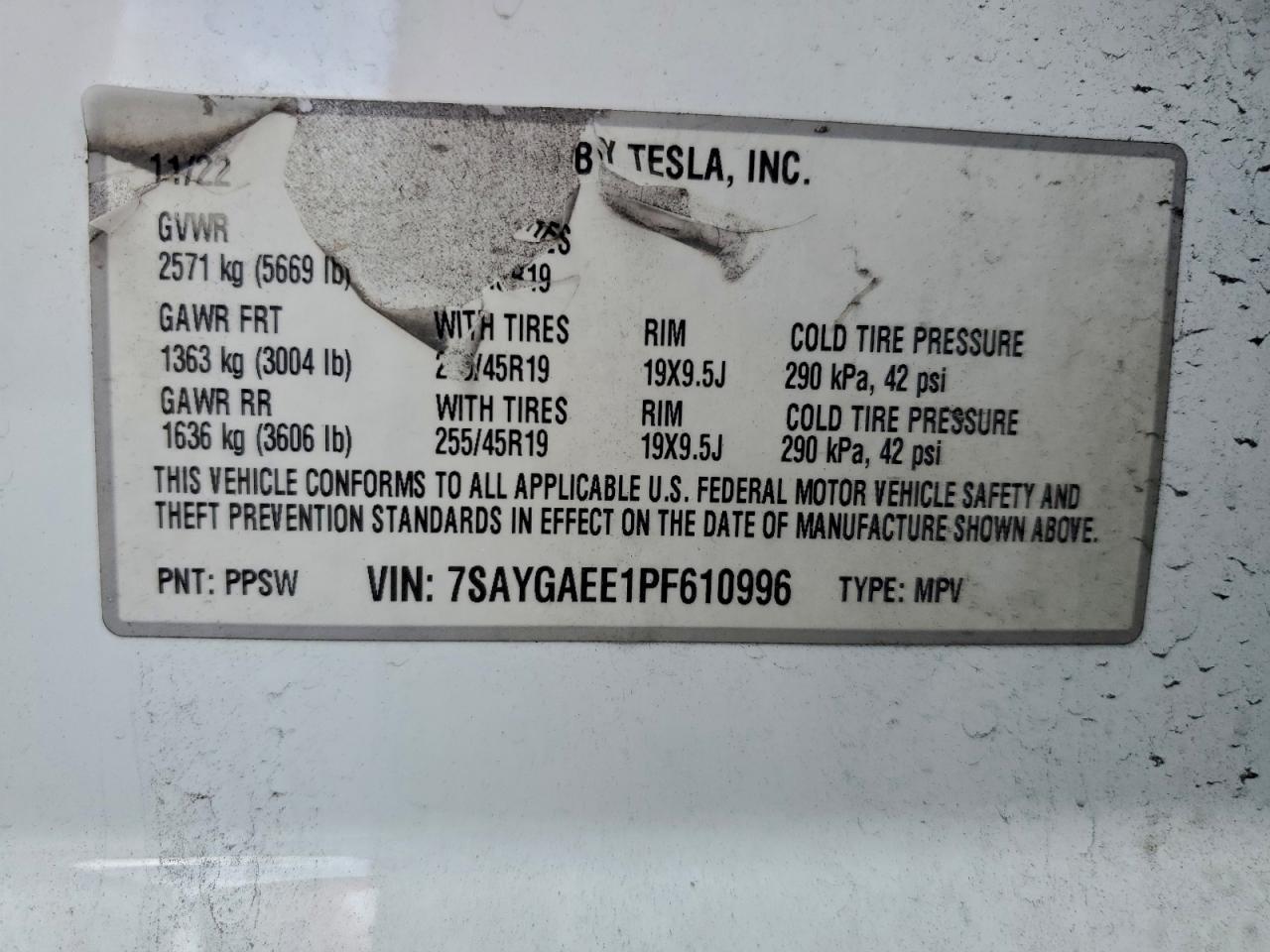 2023 Tesla Model y