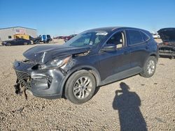 Salvage cars for sale from Copart Amarillo, TX: 2020 Ford Escape se