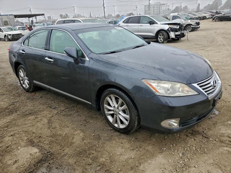 2010 Lexus ES