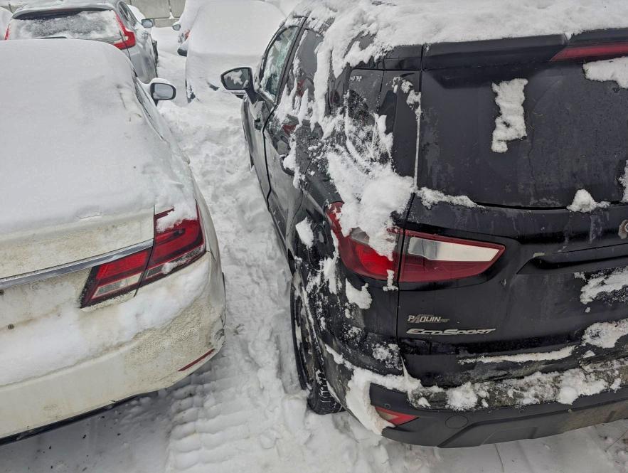 2019 Ford Ecosport ses