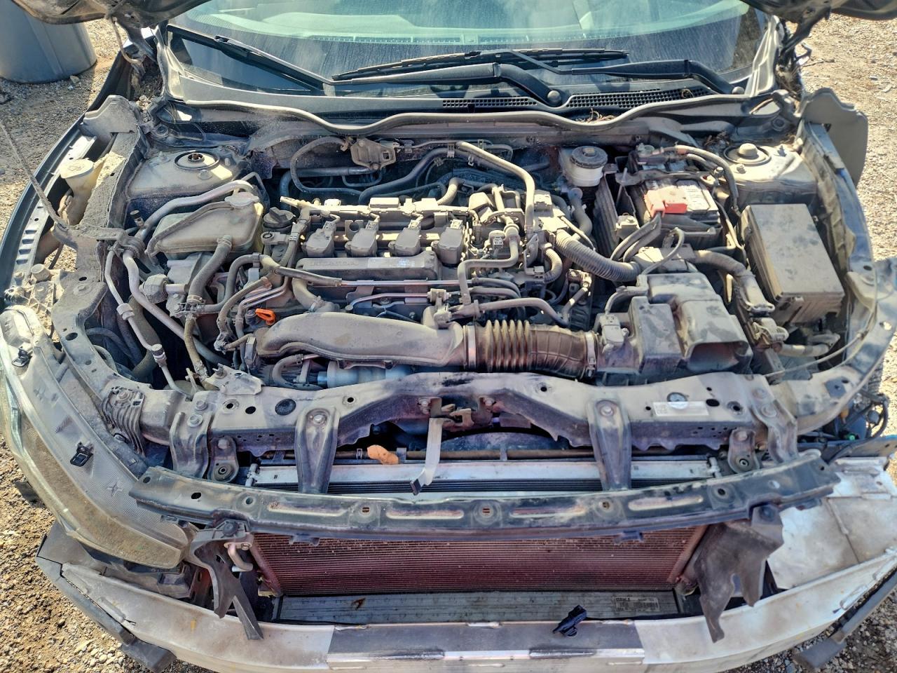 2019 Honda Civic exl