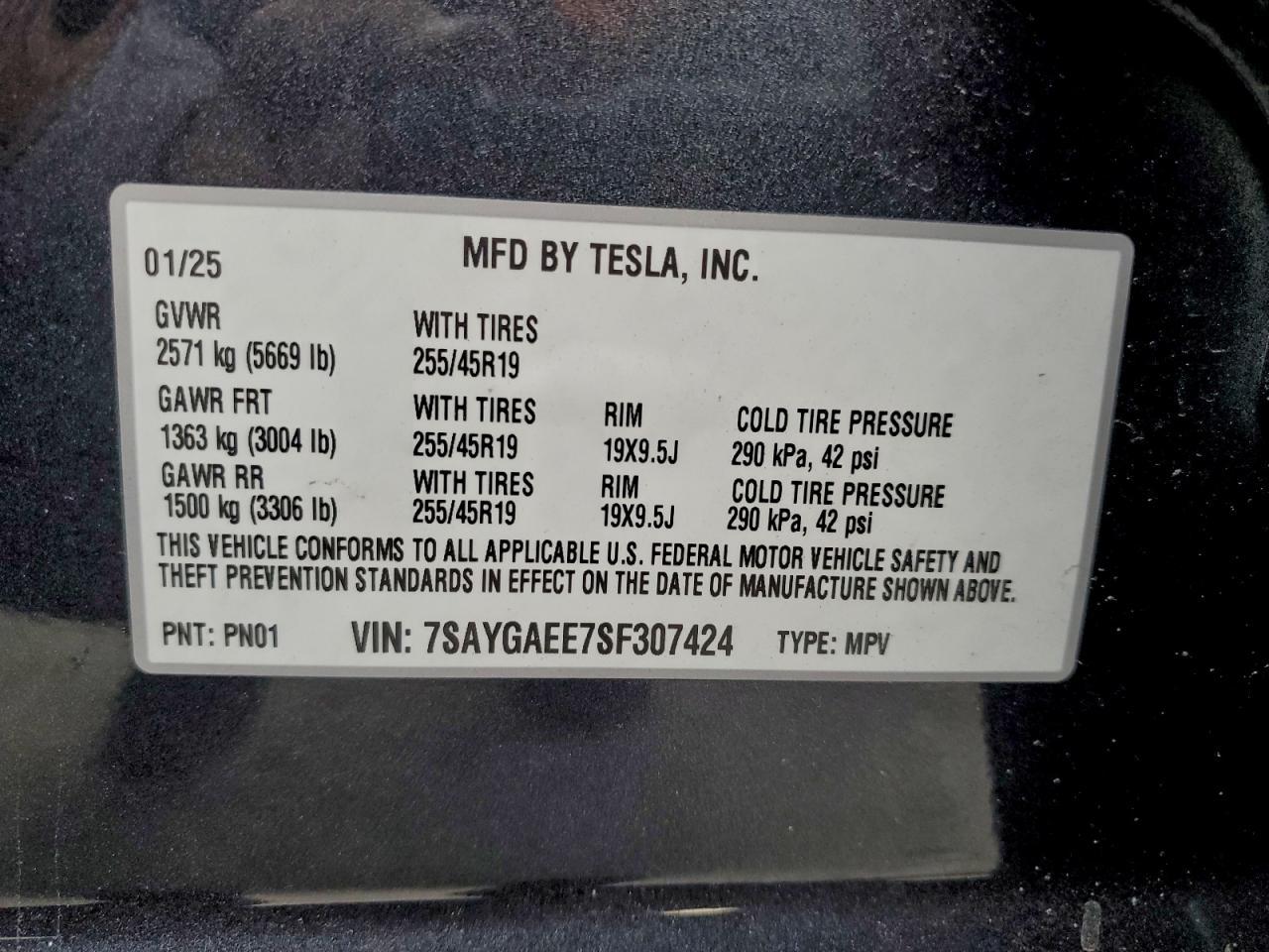 2025 Tesla Model y