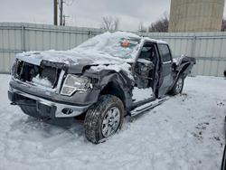 Ford Vehiculos salvage en venta: 2014 Ford F150 Supercrew