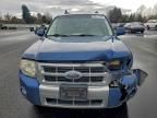 2008 Ford Escape hev