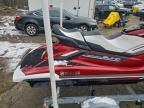 2019 Yama Waverun 3