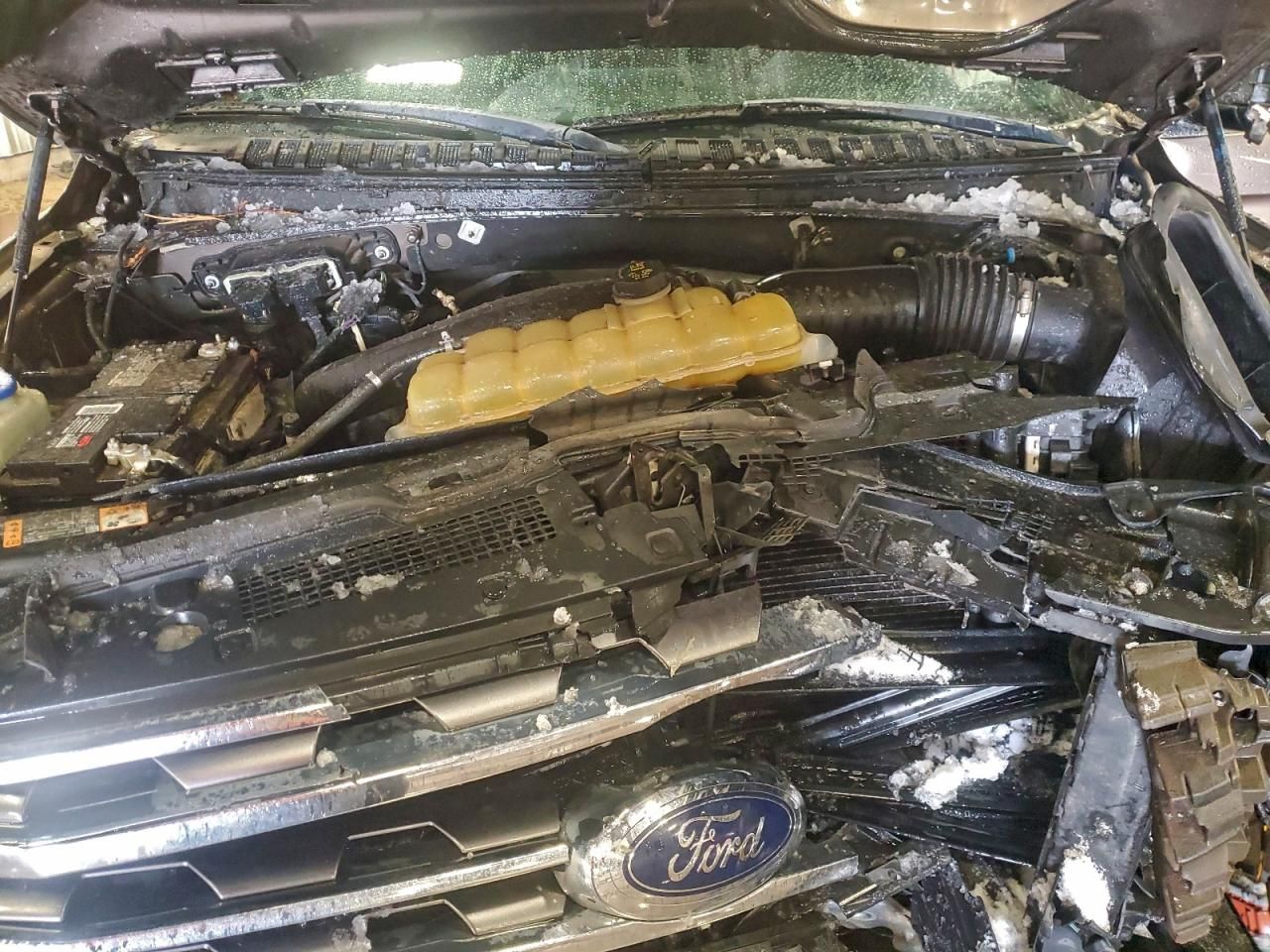 2019 Ford Expedition max xlt