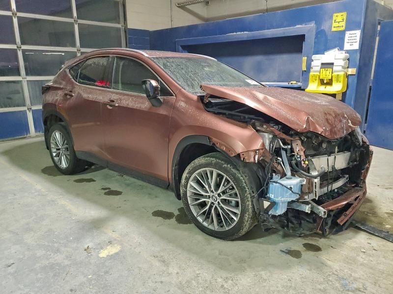 2025 Lexus Nx 350h Base