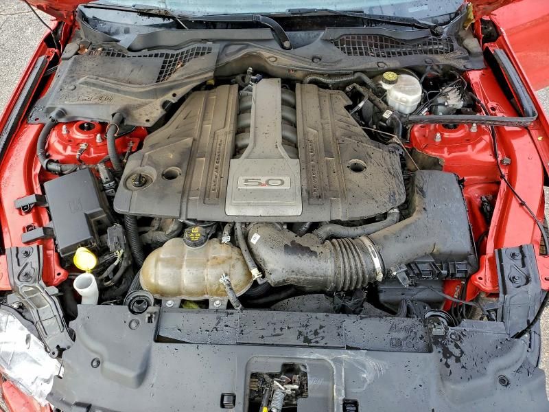 2019 Ford Mustang gt