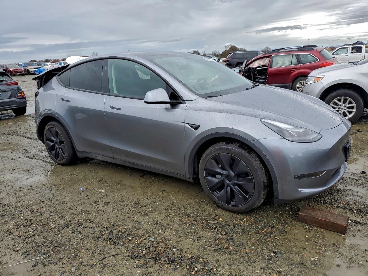 2025 Tesla Model y