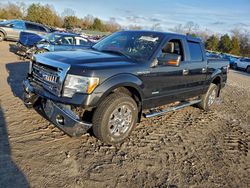 2013 Ford F150 Supercrew for sale in Madisonville, TN