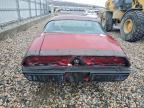 1981 Pontiac Firebird