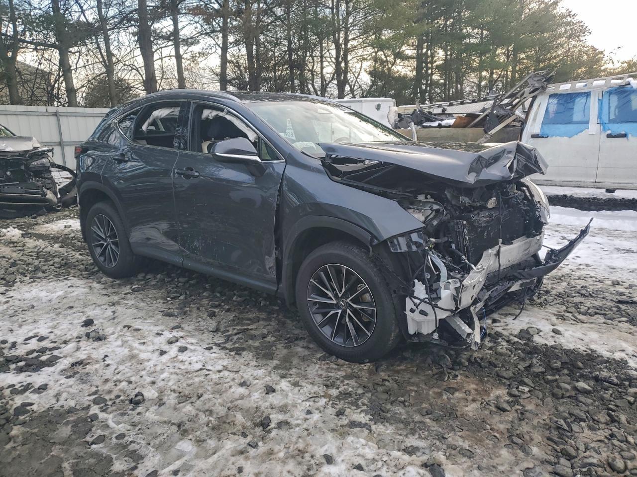 2024 Lexus Nx 350 Base