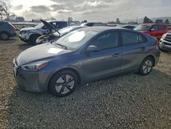 Hyundai salvage cars for sale: 2019 Hyundai Ioniq Blue