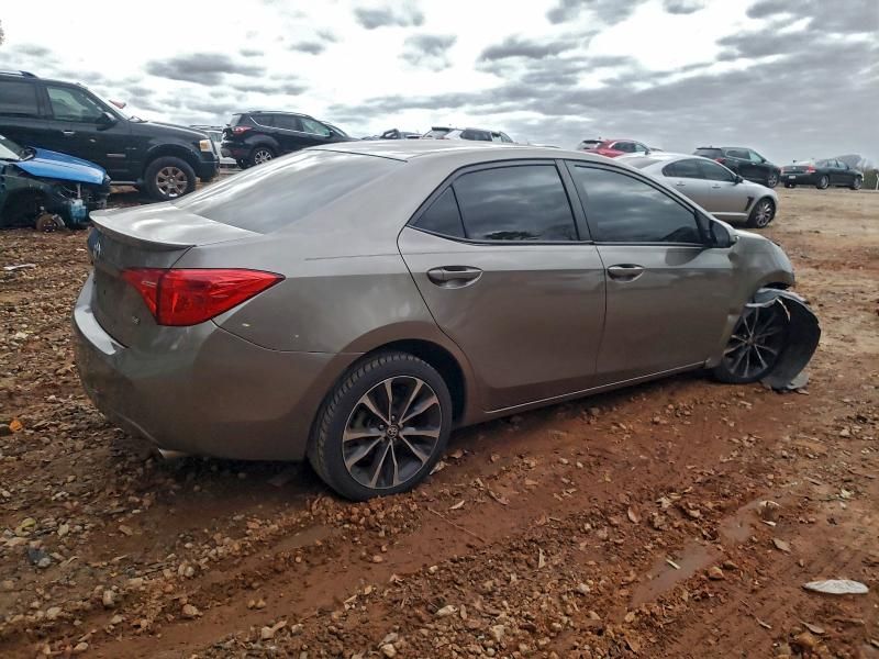 2019 Toyota Corolla l
