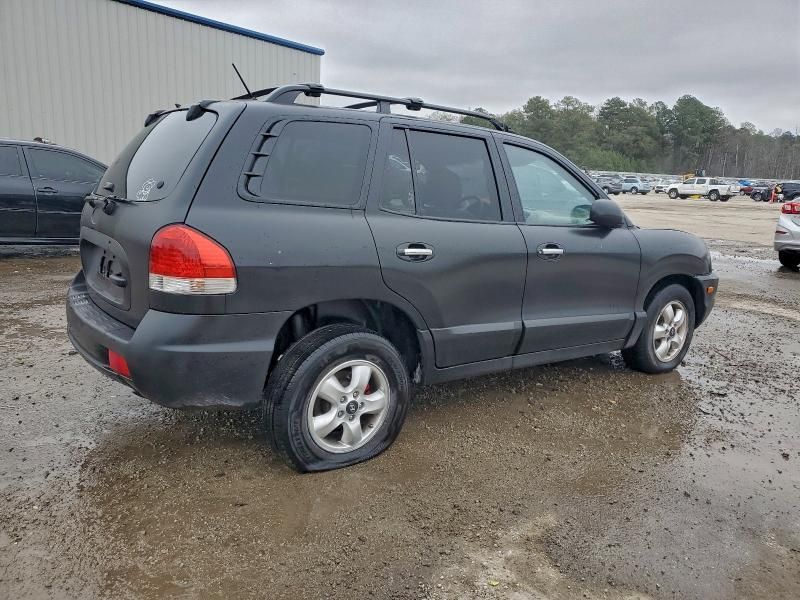2005 Hyundai Santa fe gls