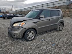 Vehiculos salvage en venta de Copart Walton, KY: 2011 KIA Soul +