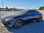 2024 Lexus Es 300h Base