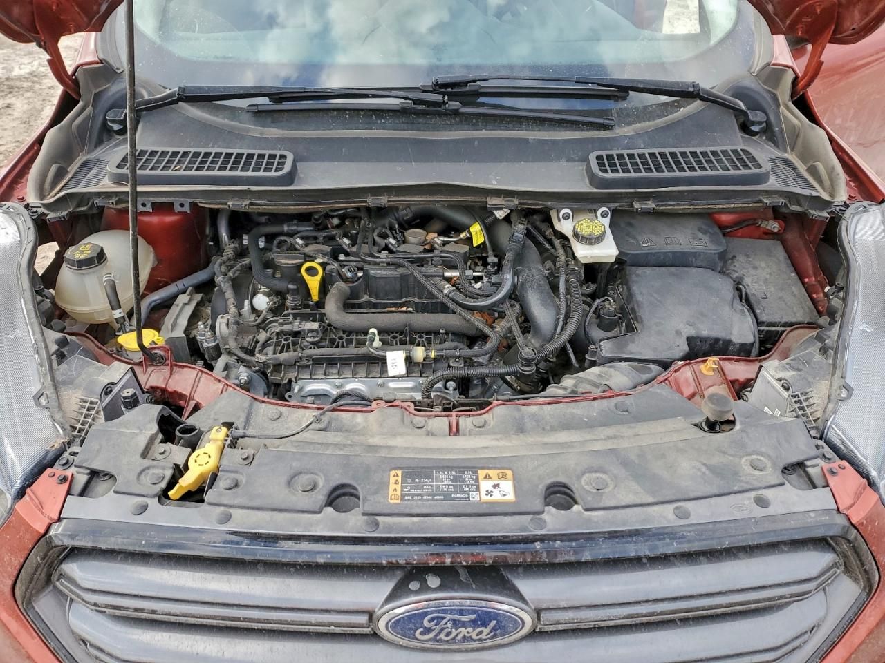 2019 Ford Escape sel