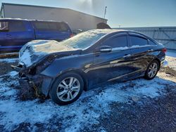 Salvage cars for sale from Copart Waldorf, MD: 2011 Hyundai Sonata se
