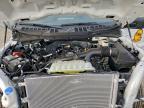 2025 Ford F150 XL