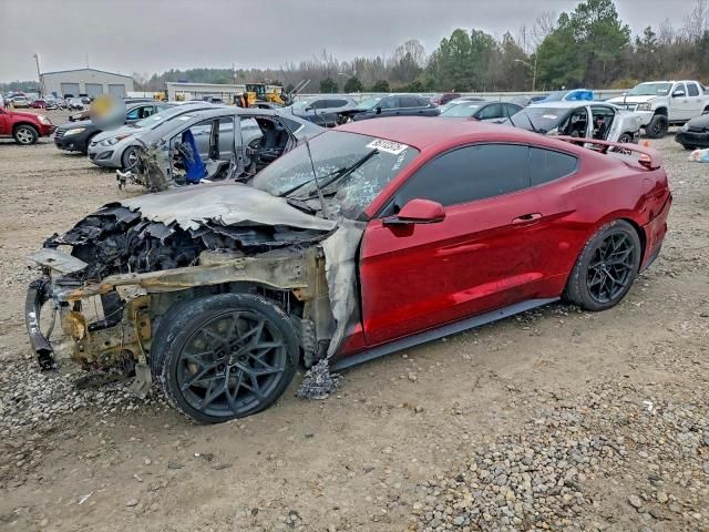 2019 Ford Mustang gt