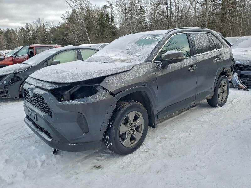 2024 Toyota Rav4 xle