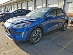 Ford Escape salvage cars for sale: 2022 Ford Escape sel