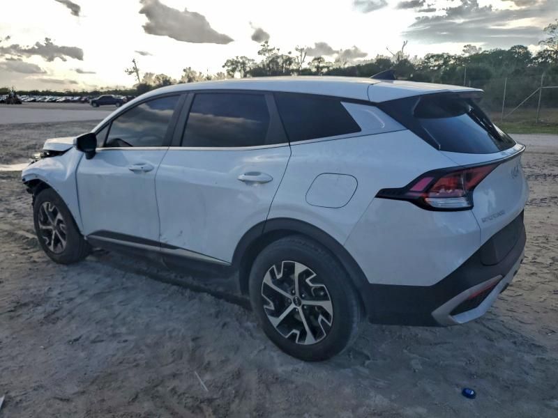 2023 KIA Sportage ex