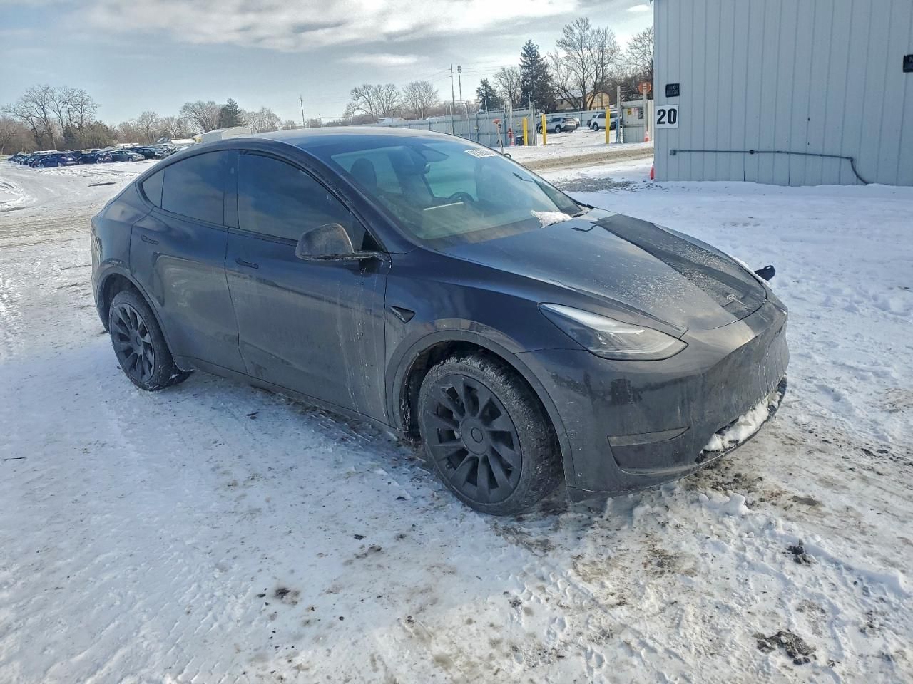 2024 Tesla Model y