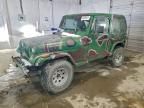 1995 Jeep Wrangler / yj Sahara