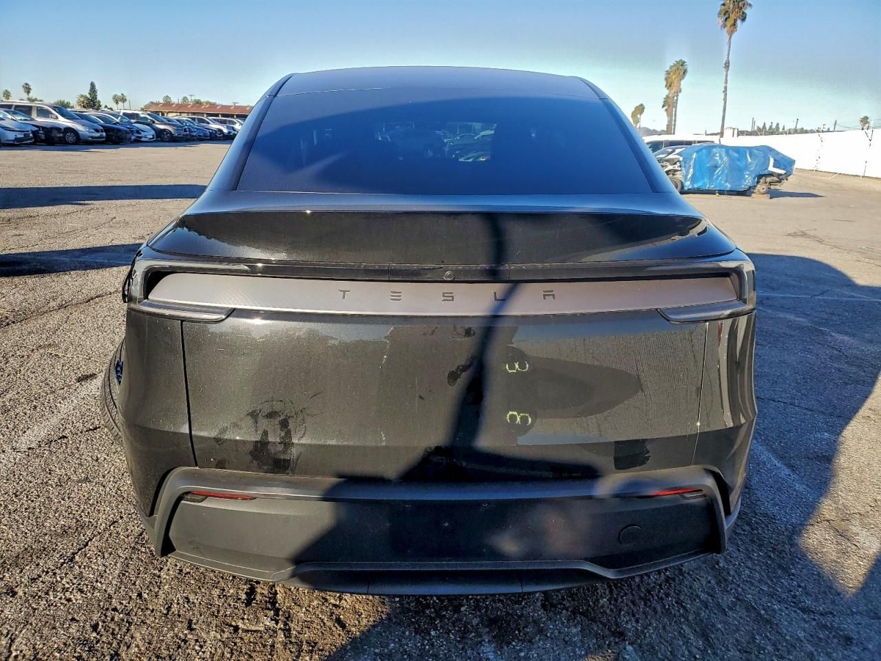 2026 Tesla Model y