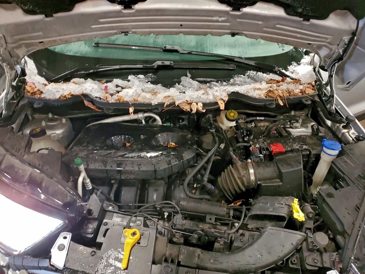 2021 Ford Ecosport se