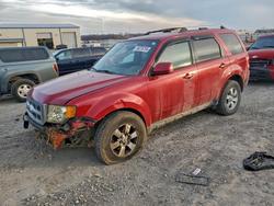 Ford Escape salvage cars for sale: 2010 Ford Escape Limited