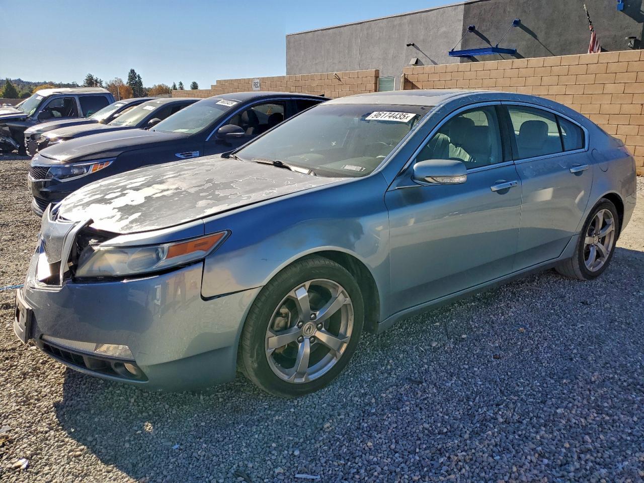 2010 Acura TL