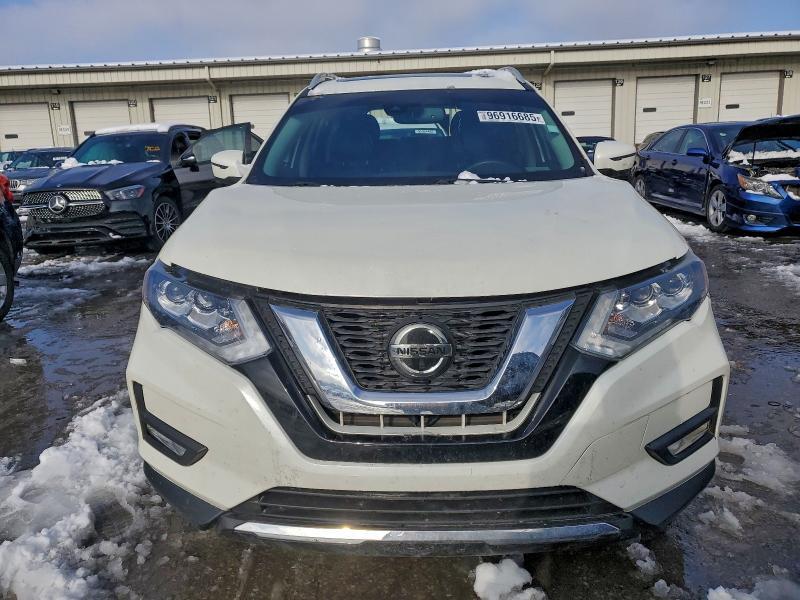 2019 Niss Rogue sl