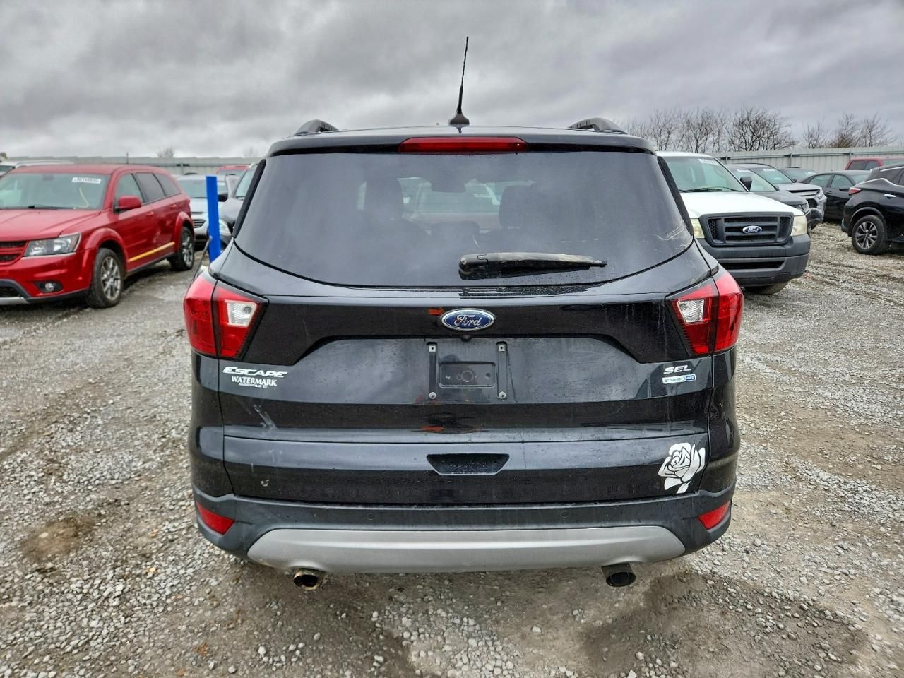 2019 Ford Escape sel