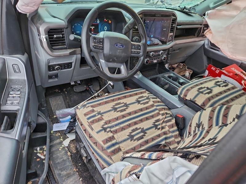 2025 Ford F150 xlt