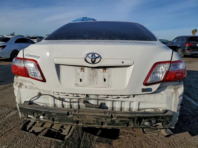 2009 Toyota Camry Hybrid