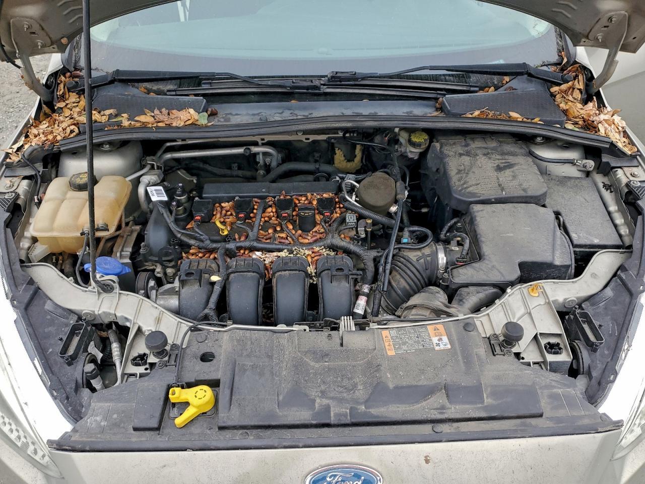 2015 Ford Focus se