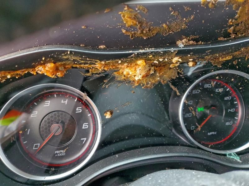 2020 Dodge Charger R/T