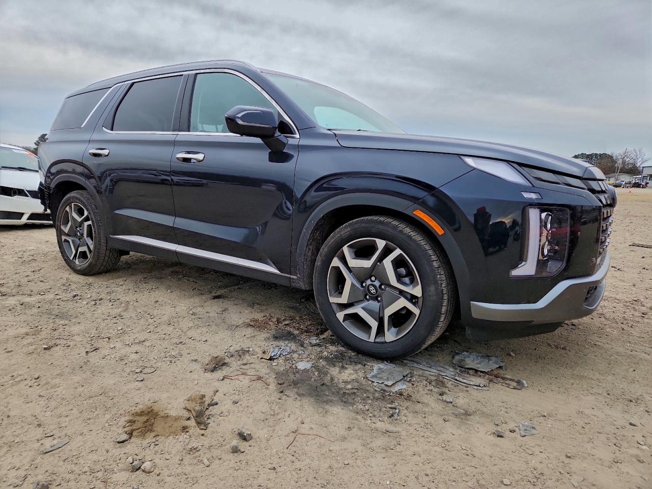 2024 Hyundai Palisade sel Premium