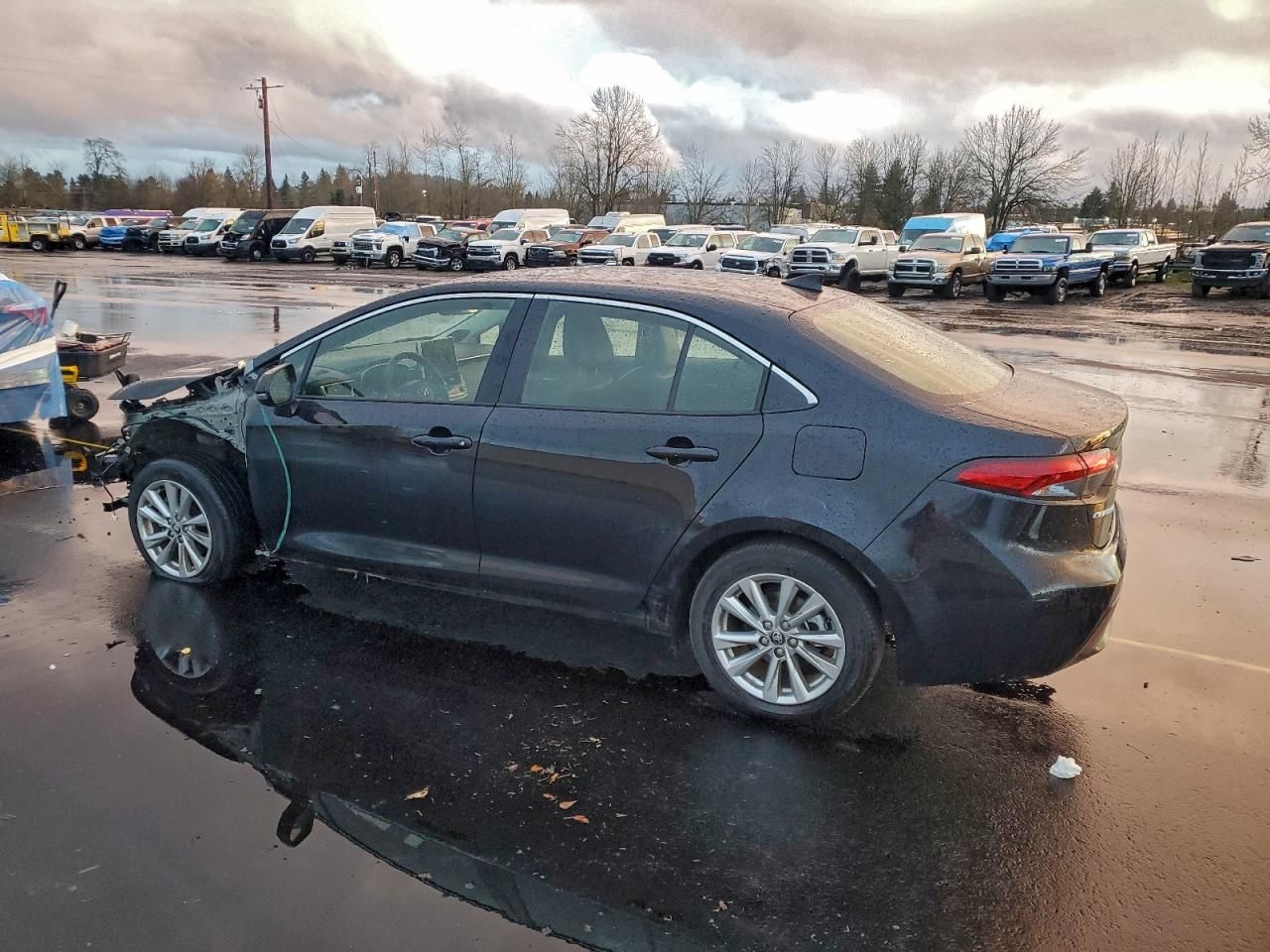 2025 Toyota Corolla le