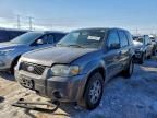 2005 Ford Escape Limited