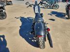 2021 Harley-Davidson XL883 N